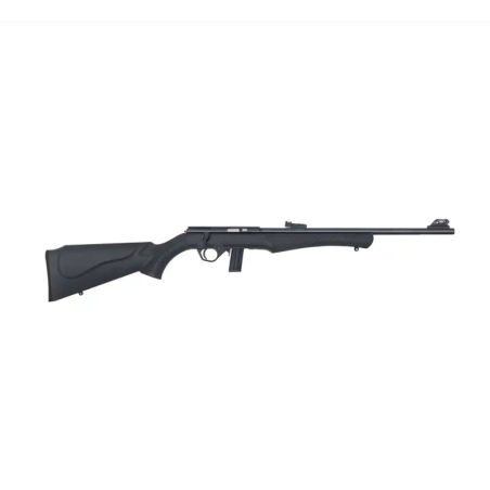 Carabine ROSSI Mod 8122 22LR PACK (Lunette, silencieux, fourreau...)