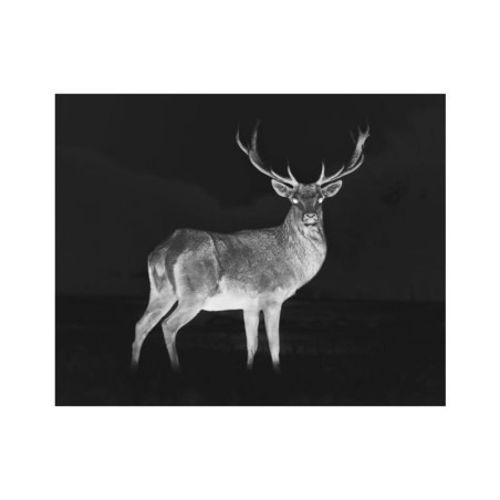 ZEISS MONOCULAIRE DE VISION THERMIQUE DTI 3X35
