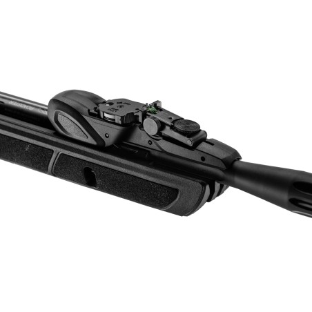 Carabine GAMO Roadster 10X IGT Gen2 4.5mm