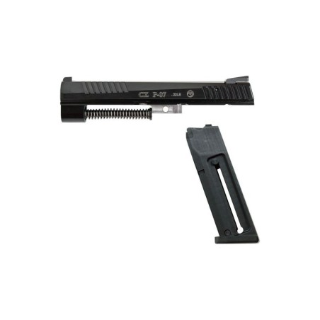 Conversion CZ 22lr pour P07