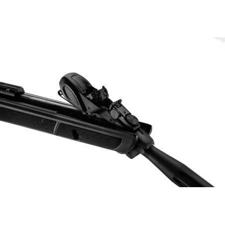 Carabine GAMO Roadster 10X IGT Gen2 4.5mm