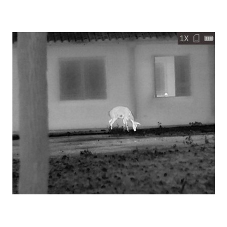 MONOCULAIRE DE VISION THERMIQUE HIKMICRO LYNX PRO LH25