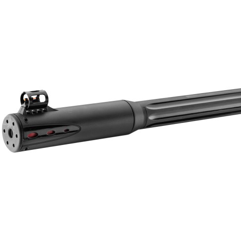 Carabine GAMO Roadster 10X IGT Gen2 4.5mm