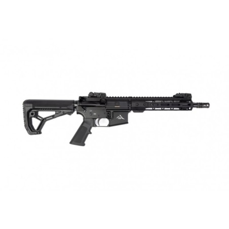 Carabine ALPEN ARMS STG15 Standard Noir Cal.300BLK  10.5"