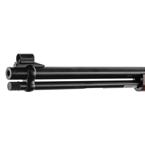 Carabine CHIAPPA LA 322 TakeDown Deluxe...