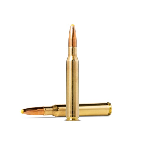 Munitions NORMA 7x64 PPDC 170gr x20