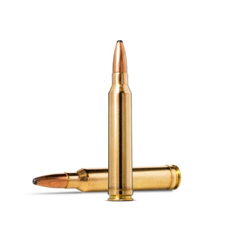 Munitions NORMA 300 Weatherby Mag Oryx 180gr x20