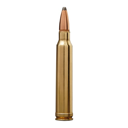 WINCHESTER 30-06 180GR PP