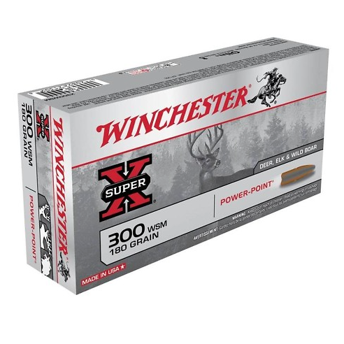 Munitions WINCHESTER 300 WSM Power Point 180gr x20