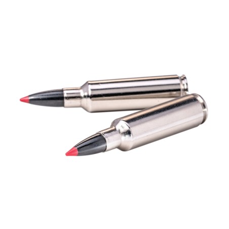 Munitions WINCHESTER 300 Win Mag AccuBond CT 180gr x20