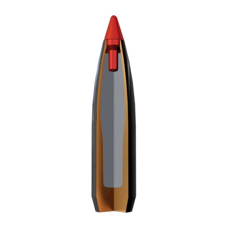 Munitions WINCHESTER 300 Win Mag AccuBond CT 180gr x20