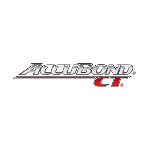 Munitions WINCHESTER 300 Win Mag AccuBond CT...