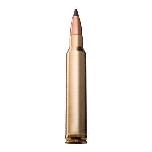 Munitions WINCHESTER 22-250 Rem 55gr x20