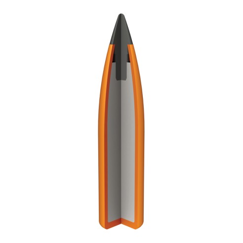 Munitions WINCHESTER 22-250 Rem 55gr x20