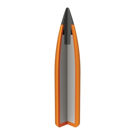 Munitions WINCHESTER 22-250 Rem 55gr x20