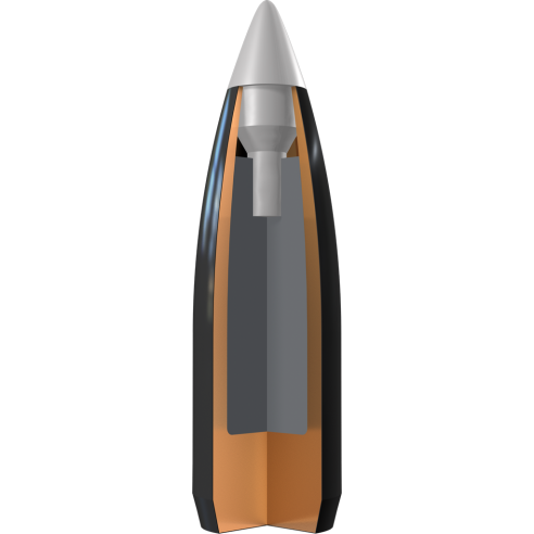 Munitions WINCHESTER 223 WSSM Ballistic...