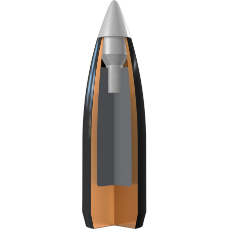 Munitions WINCHESTER 223 WSSM Ballistic Silvertip 55gr x20