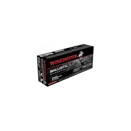 Munitions WINCHESTER 243 WSSM Ballistic Silvertip 95gr x20