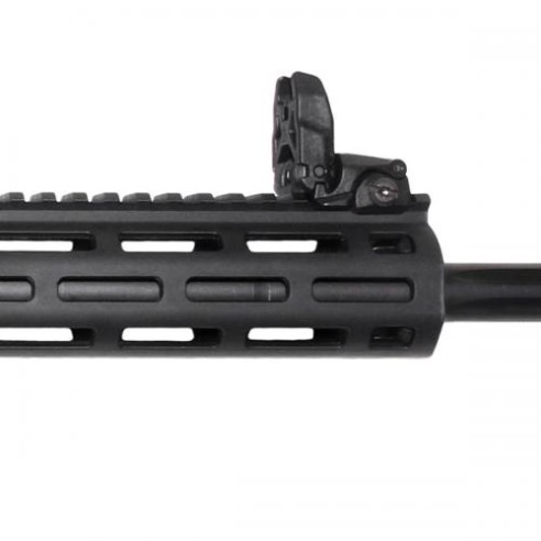 Carabine Smith & Wesson M&P15-22 Performance...