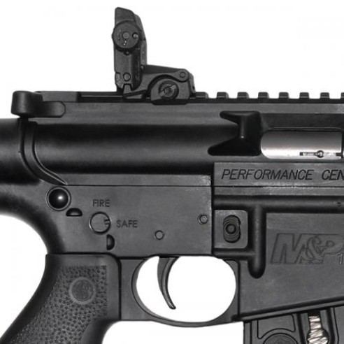 Carabine Smith & Wesson M&P15-22 Performance...