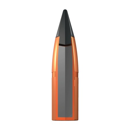 Munitions WINCHESTER 243 Win Extreme Point 95gr x20