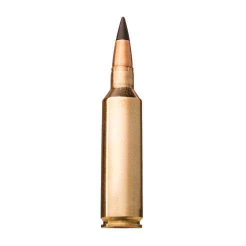 Munitions WINCHESTER 243 Win Extreme Point 95gr...