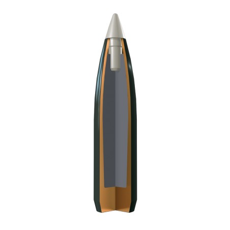 MUNITIONS WINCHESTER 243WIN BST 95GR X20