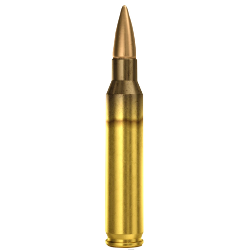 MUNITIONS MAGTECH 223 55GR X50