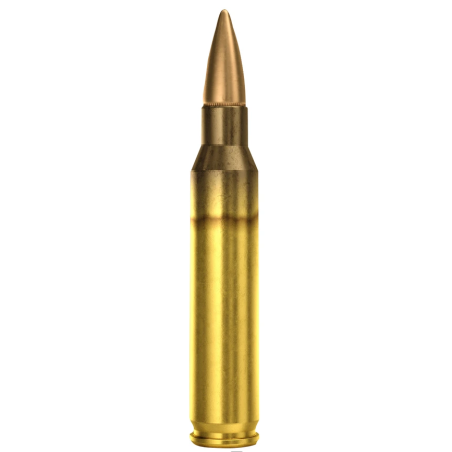 MUNITIONS MAGTECH 223 55GR X50