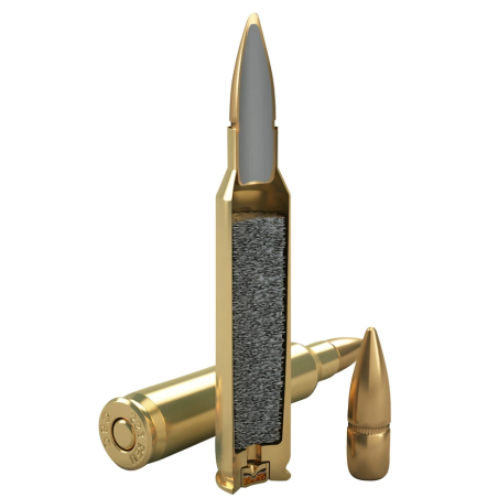 MUNITIONS MAGTECH 223 55GR X50