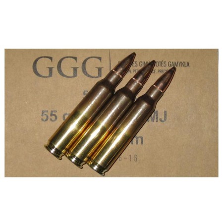 Munitions GGG 223 Rem FMJ 55gr x50