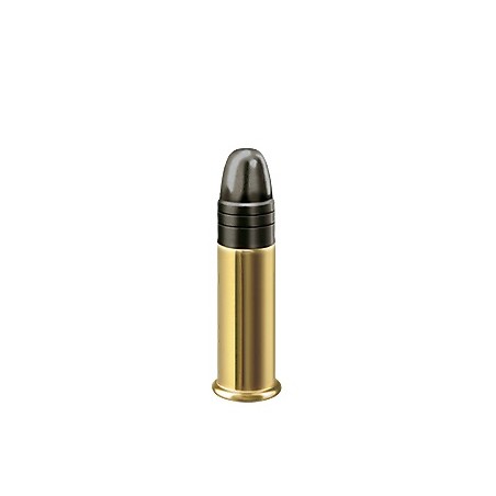 Munitions RWS 22lr R100 x50
