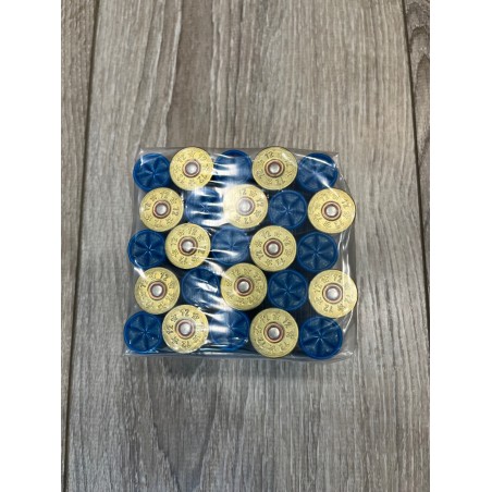 Cartouches FANTIN 12/70/12 34g BG n°10 x25
