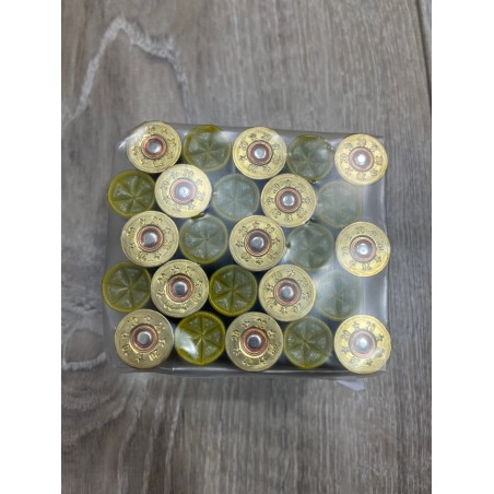 Cartouches FANTIN 20/70/16 28g BG n°10 x25