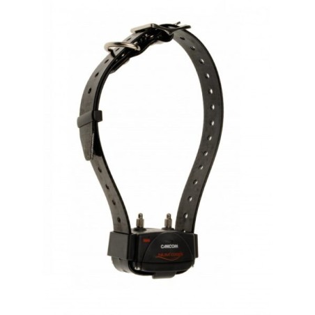 Collier de rappel NUM'AXES Canicom 800 + Télécommande