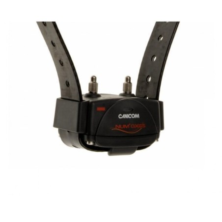 Collier de rappel NUM'AXES Canicom 800 + Télécommande
