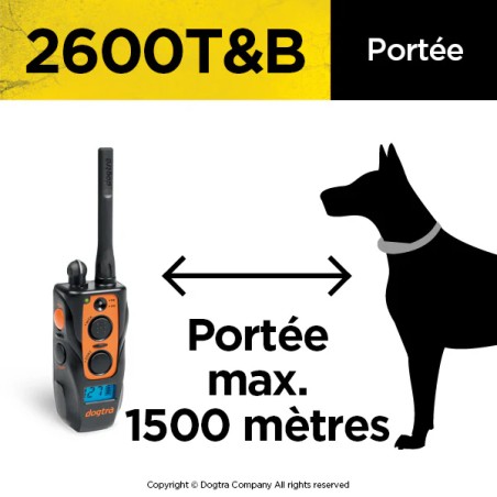 Collier de dressage DOGTRA 2600T&B