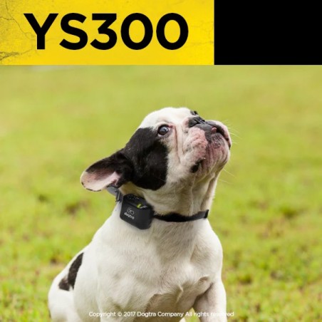 Collier anti aboiement DOGTRA YS300