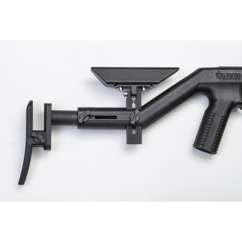 Carabine PARDINI TR20 Canon 40cm Cal.22lr