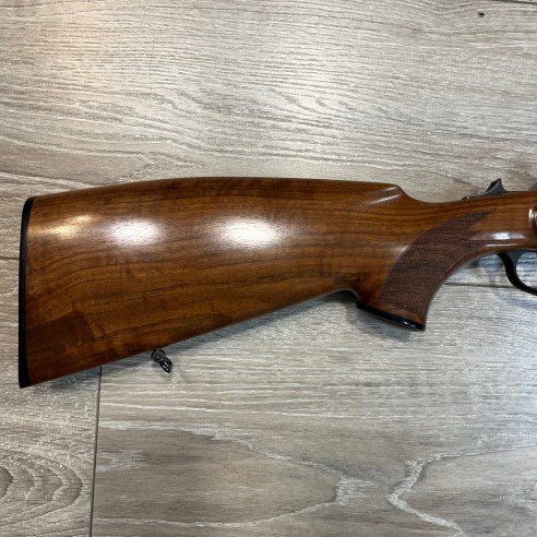 Carabine Express BLASER BB 97/2000 Cal.30R Blaser