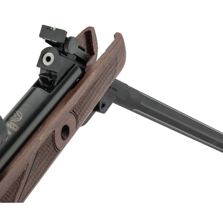 CARABINE GAMO 4.5 COMBO HUNTER 440 AS 19.9 J + LUNETTE