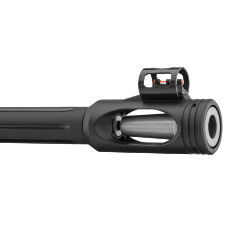 CARABINE GAMO 4.5 COMBO HUNTER 440 AS 19.9 J + LUNETTE