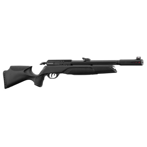CARABINE GAMO ARROW PCP 4.5MM 19.9J + LUNETTE...