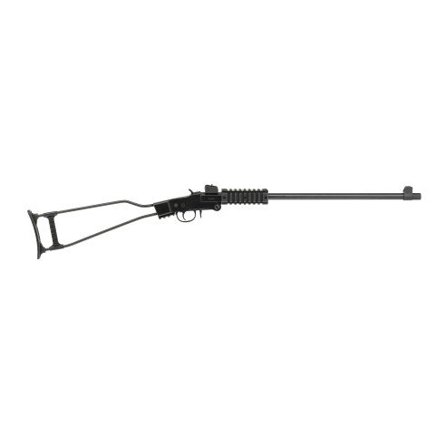 CARABINE CHIAPPA LITTLE BADGER 17HMR