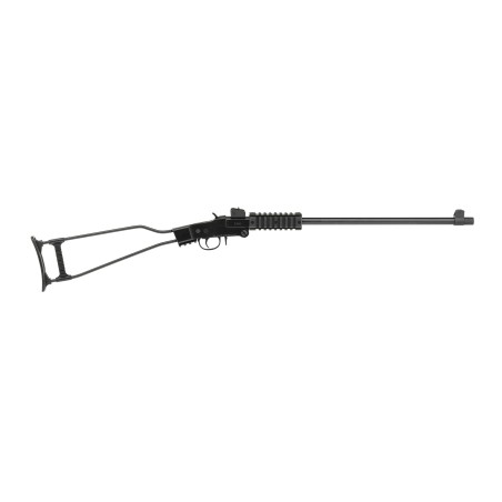 Carabine CHIAPPA Little Badger Cal17HMR