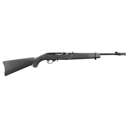 CARABINE RUGER 10/22 TAKEDOWN 22LR 16.62" CACHE FLAMME 10 CPS