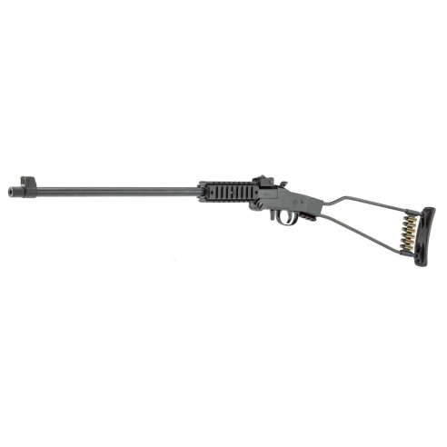 Carabine CHIAPPA Little Badger Cal17HMR