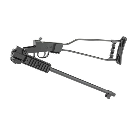 Carabine CHIAPPA Little Badger Cal17HMR