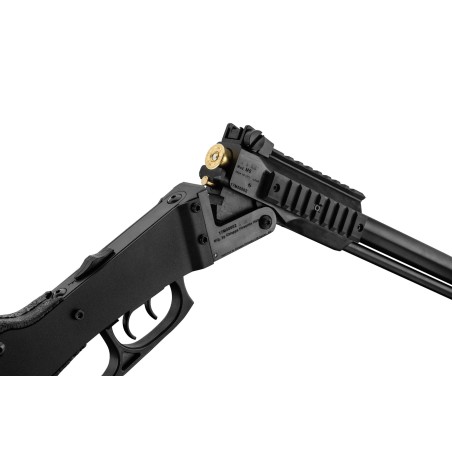 Carabine CHIAPPA M6 46cm Cal 12/76 - 22lr