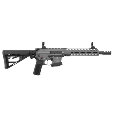 CARABINE SCHMEISSER CAL 9X19 10.5 PCC DYNAMIC GREY  FOUREAU + KIT DE NETTOYAGE